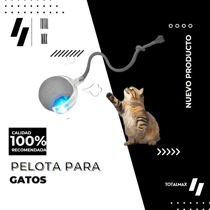 Bola interactiva para gato