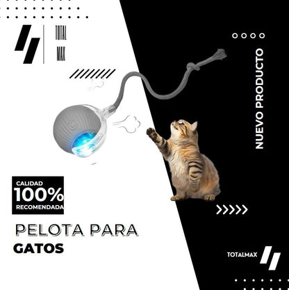 Bola interactiva para gato
